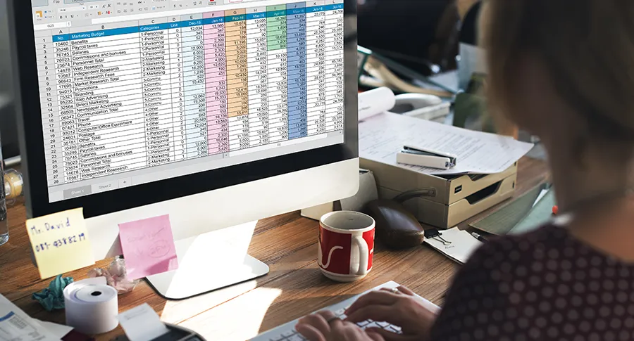 Excel VS Software de facturación